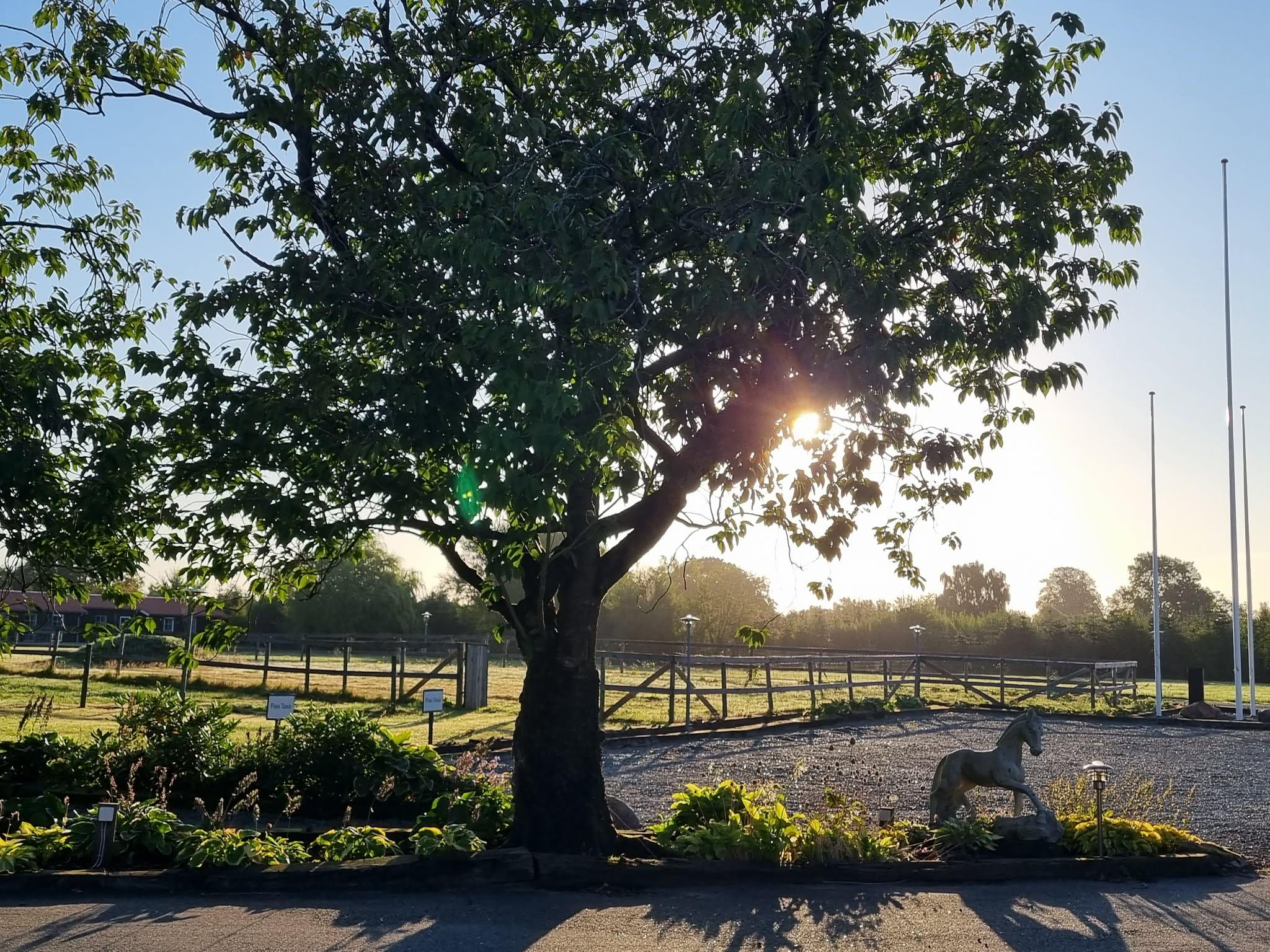 Sommersol over SATUS