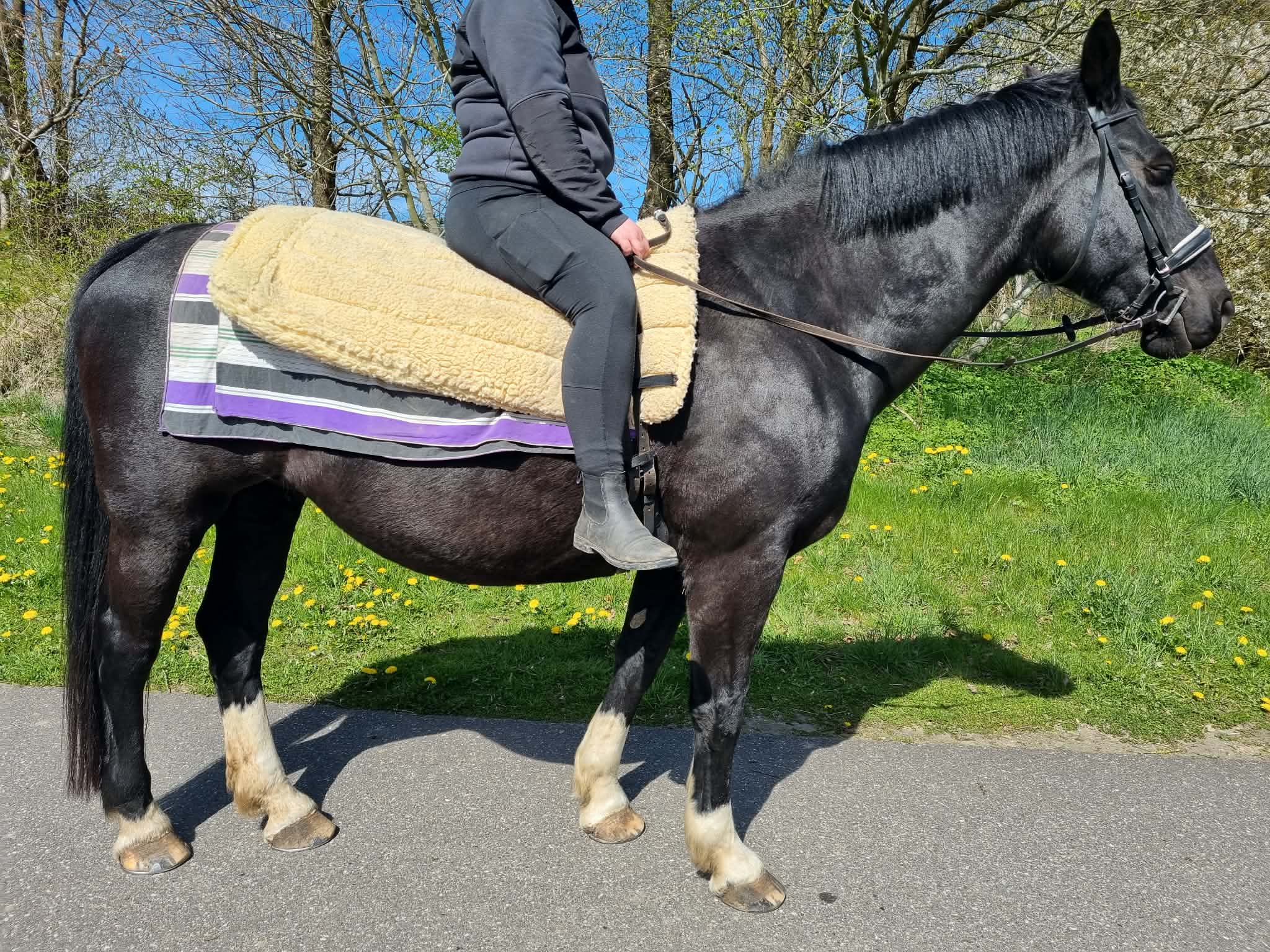 Klar til ridetur